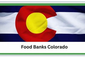 Your Guide: Adams County Colorado Food Banks Near Me | World’s Most Delicious Foods: Must-Try Dishes from Every Country