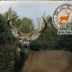 Top-Rated Best Food Plot Seed for Deer: Attract Bucks! | World’s Most Delicious Foods: Must-Try Dishes from Every Country