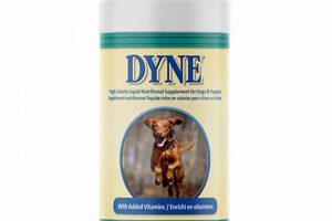 Boost: Dyne Dog Food for Weight & Energy Support | World’s Most Delicious Foods: Must-Try Dishes from Every Country