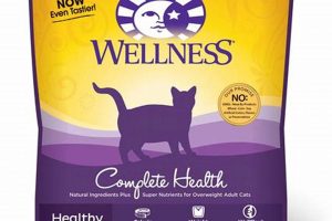 Is Wellness Complete Health Cat Food Best? Review & Benefits | World’s Most Delicious Foods: Must-Try Dishes from Every Country