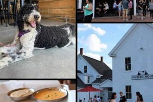 Best Durham NH Food Trucks: Find Eats Near You! | World’s Most Delicious Foods: Must-Try Dishes from Every Country