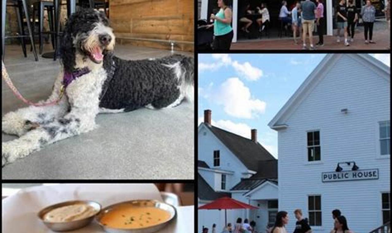 Best Durham NH Food Trucks: Find Eats Near You! | World’s Most Delicious Foods: Must-Try Dishes from Every Country