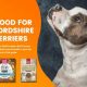Top Best Dog Food for Staffordshire Bull Terriers: Guide | World’s Most Delicious Foods: Must-Try Dishes from Every Country
