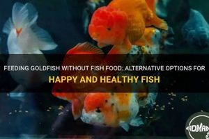 Help! What to Feed Goldfish Without Fish Food? + Tips | World’s Most Delicious Foods: Must-Try Dishes from Every Country