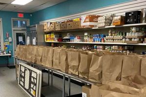 Your Yarmouth Food Pantry: Find Food &amp; Support Near You | World’s Most Delicious Foods: Must-Try Dishes from Every Country