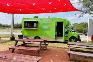 Best Indian Food Truck Austin, TX: Flavors of India! | World’s Most Delicious Foods: Must-Try Dishes from Every Country