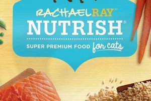 Best Rachel Ray Dry Cat Food: Reviews &amp; Alternatives | World’s Most Delicious Foods: Must-Try Dishes from Every Country