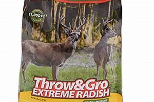 Top-Rated: Best Deer Food Plot Seed Mixes - Guide | World’s Most Delicious Foods: Must-Try Dishes from Every Country