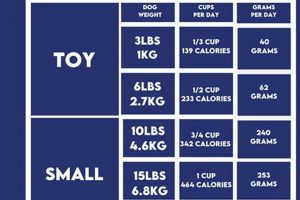 Dog Food: How Many Cups in a 30 lb Bag? A Guide | World’s Most Delicious Foods: Must-Try Dishes from Every Country