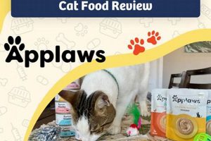 Is Applaws Cat Food a Good Choice? Review + Alternatives World’s Most Delicious Foods: Must-Try Dishes from Every Country Is Applaws Cat Food a Good Choice? Review + Alternatives | World’s Most Delicious Foods: Must-Try Dishes from Every Country