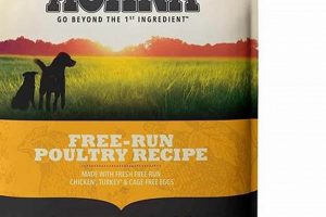 Top Picks: Best Non-Prescription Diabetic Dog Food Guide | World’s Most Delicious Foods: Must-Try Dishes from Every Country