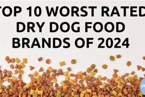Top Dog Food Mistakes: Avoid the Worst for Bulldogs | World’s Most Delicious Foods: Must-Try Dishes from Every Country