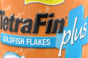 Best Tetrafin Fish Food: Reviews & Guide For Healthy Fish | World’s Most Delicious Foods: Must-Try Dishes from Every Country