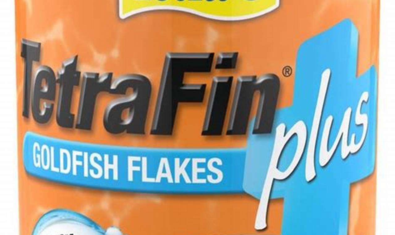 Best Tetrafin Fish Food: Reviews & Guide For Healthy Fish | World’s Most Delicious Foods: Must-Try Dishes from Every Country