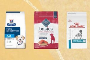 Top Rated: Best Dog Food for Senior Dogs with Allergies Guide | World’s Most Delicious Foods: Must-Try Dishes from Every Country