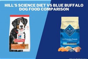 Best Dog Food: Comparable to Blue Buffalo Alternatives? | World’s Most Delicious Foods: Must-Try Dishes from Every Country