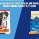 Best Dog Food: Comparable to Blue Buffalo Alternatives? | World’s Most Delicious Foods: Must-Try Dishes from Every Country