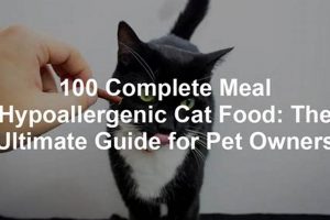 Best 100% Hypoallergenic Cat Food: Complete Meal Guide | World’s Most Delicious Foods: Must-Try Dishes from Every Country