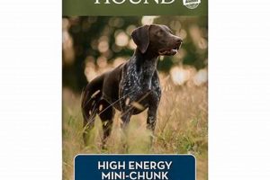 Fueling Active Dogs: Best Dog Food for High Energy Pups | World’s Most Delicious Foods: Must-Try Dishes from Every Country