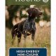 Fueling Active Dogs: Best Dog Food for High Energy Pups | World’s Most Delicious Foods: Must-Try Dishes from Every Country