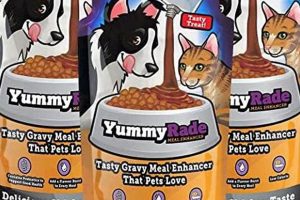 Best Gravy for Dogs Dry Food? + [Tips & Guide] | World’s Most Delicious Foods: Must-Try Dishes from Every Country