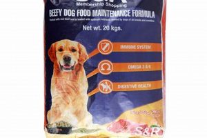 Best S&amp;R Dog Food Choices: Nutrition &amp; Reviews | World’s Most Delicious Foods: Must-Try Dishes from Every Country