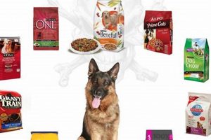 Avoid: The Worst Dog Food for German Shepherds? Guide | World’s Most Delicious Foods: Must-Try Dishes from Every Country