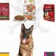 Avoid: The Worst Dog Food for German Shepherds? Guide | World’s Most Delicious Foods: Must-Try Dishes from Every Country