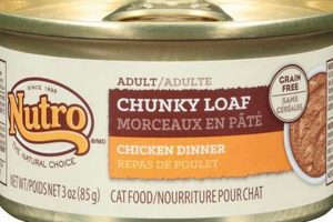 Best Nutro Canned Cat Food: Wet Food Review & Benefits | World’s Most Delicious Foods: Must-Try Dishes from Every Country