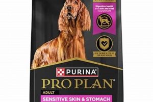 Stop the Itch! Best Dog Food for Dry Skin Relief Now | World’s Most Delicious Foods: Must-Try Dishes from Every Country