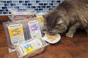 Best smalls.com Cat Food: Healthy &amp; Fresh Meals! | World’s Most Delicious Foods: Must-Try Dishes from Every Country
