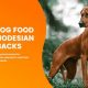 Best Dog Food for Rhodesian Ridgebacks: Nutrition Guide | World’s Most Delicious Foods: Must-Try Dishes from Every Country