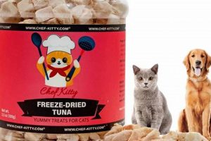 Boost with Freeze Dried Cat Food Toppers: A Cat's Delight! | World’s Most Delicious Foods: Must-Try Dishes from Every Country