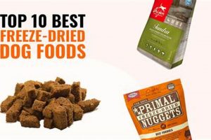Can *You* Freeze Dry Dog Food at Home? [Guide] | World’s Most Delicious Foods: Must-Try Dishes from Every Country