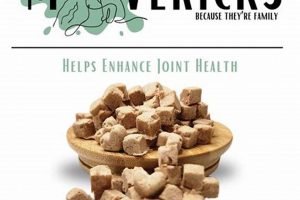 Unleash the Maverick: Best Dog Food for Unique Pups [2024] | World’s Most Delicious Foods: Must-Try Dishes from Every Country