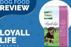 Is Loyall Life Dog Food Good? Reviews & Ratings Guide | World’s Most Delicious Foods: Must-Try Dishes from Every Country