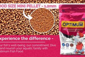 Best Fish Food Optimum: Nutrition & Diet Tips | World’s Most Delicious Foods: Must-Try Dishes from Every Country