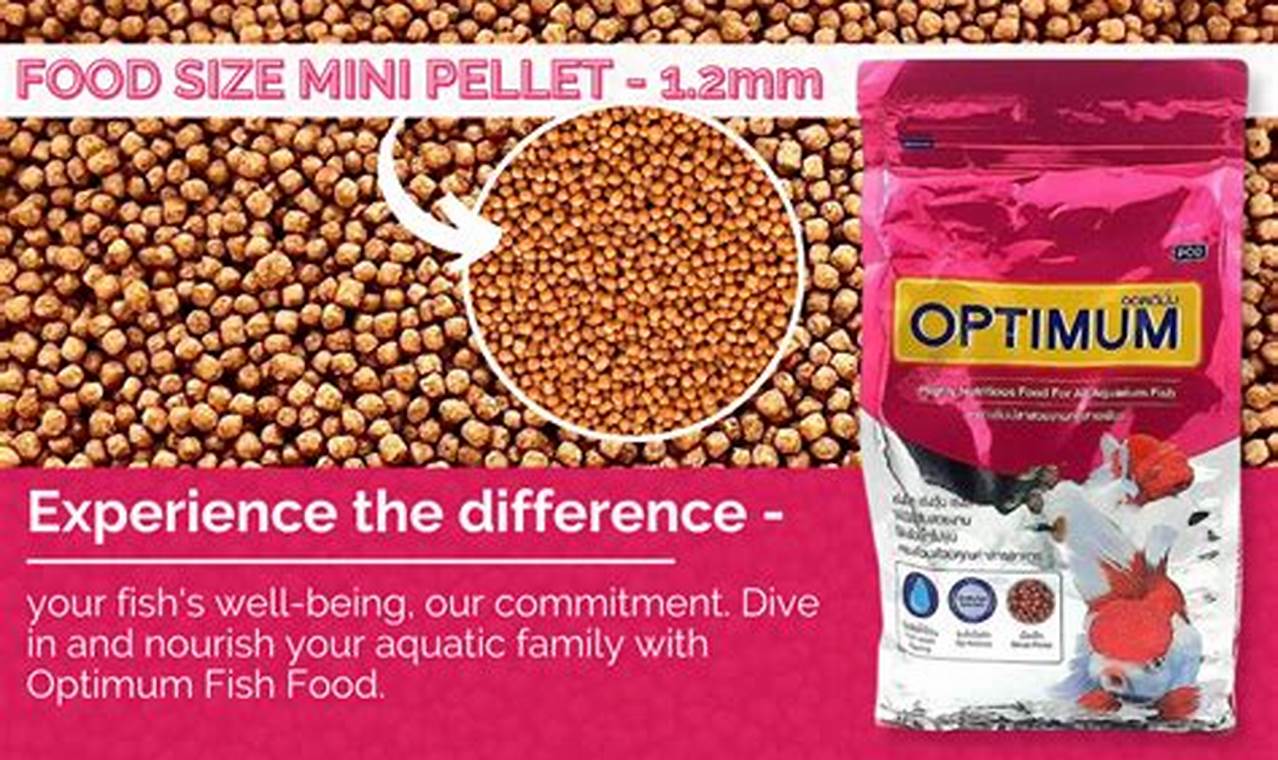 Best Fish Food Optimum: Nutrition & Diet Tips | World’s Most Delicious Foods: Must-Try Dishes from Every Country