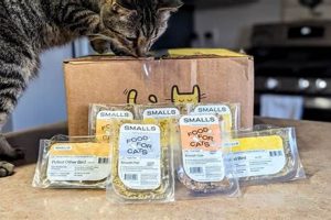 Best Fresh Cat Food Delivery: Healthier Cat, Happy You! World’s Most Delicious Foods: Must-Try Dishes from Every Country Best Fresh Cat Food Delivery: Healthier Cat, Happy You! | World’s Most Delicious Foods: Must-Try Dishes from Every Country