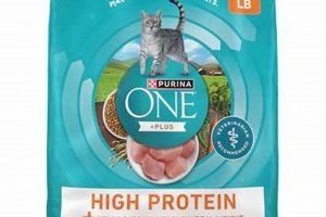 Best Low Carb Dry Cat Food: Fuel Your Feline + Guide | World’s Most Delicious Foods: Must-Try Dishes from Every Country