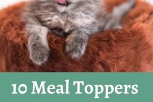 Top-Rated Best Cat Food Topper: Enhance Mealtime Fun! | World’s Most Delicious Foods: Must-Try Dishes from Every Country