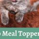 Top-Rated Best Cat Food Topper: Enhance Mealtime Fun! | World’s Most Delicious Foods: Must-Try Dishes from Every Country