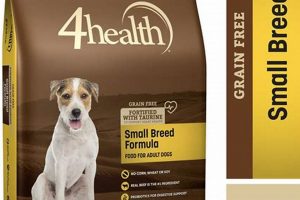 Best Grain Free Small Breed Dog Food [Guide] | World’s Most Delicious Foods: Must-Try Dishes from Every Country