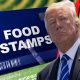 Understanding Trump's Food Stamp Cuts: Impact &amp; Future | World’s Most Delicious Foods: Must-Try Dishes from Every Country