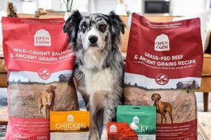 Is Open Farm Dog Food Good? A Complete Review for Your Dog | World’s Most Delicious Foods: Must-Try Dishes from Every Country