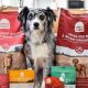 Is Open Farm Dog Food Good? A Complete Review for Your Dog | World’s Most Delicious Foods: Must-Try Dishes from Every Country