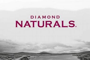 Best Diamond Naturals Dog Food for Large Breeds: Review + Guide World’s Most Delicious Foods: Must-Try Dishes from Every Country Best Diamond Naturals Dog Food for Large Breeds: Review + Guide | World’s Most Delicious Foods: Must-Try Dishes from Every Country