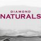 Best Diamond Naturals Dog Food for Large Breeds: Review + Guide | World’s Most Delicious Foods: Must-Try Dishes from Every Country