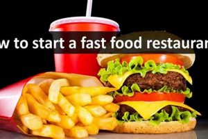 Guide: How to Start a Fast Food Restaurant Business Plan | World’s Most Delicious Foods: Must-Try Dishes from Every Country
