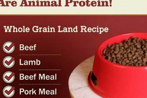 Best Whole Grain Land Recipe Dog Food 4lb for Your Pup! World’s Most Delicious Foods: Must-Try Dishes from Every Country Best Whole Grain Land Recipe Dog Food 4lb for Your Pup! | World’s Most Delicious Foods: Must-Try Dishes from Every Country